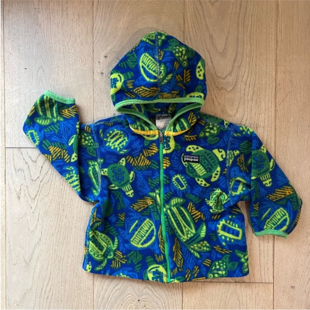 Patagonia Vibrant Blue and Green Fleece